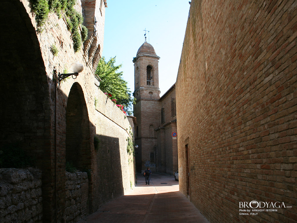 Urbino